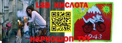 СК Гусев