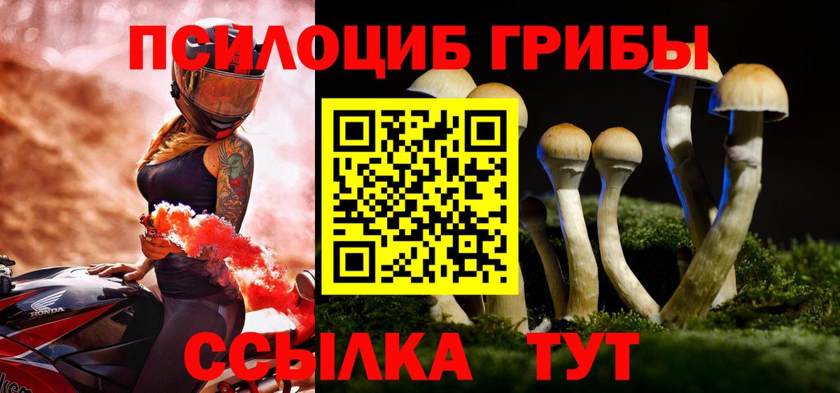 Псилоцибиновые грибы Psilocybe  Вход с VPN  Назрань 